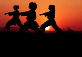 Emmons Taekwondo - Three silhouettes of people engaged in TaeKwonDo training at sunset.