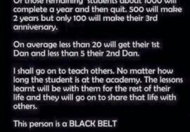 A Black Belt 4